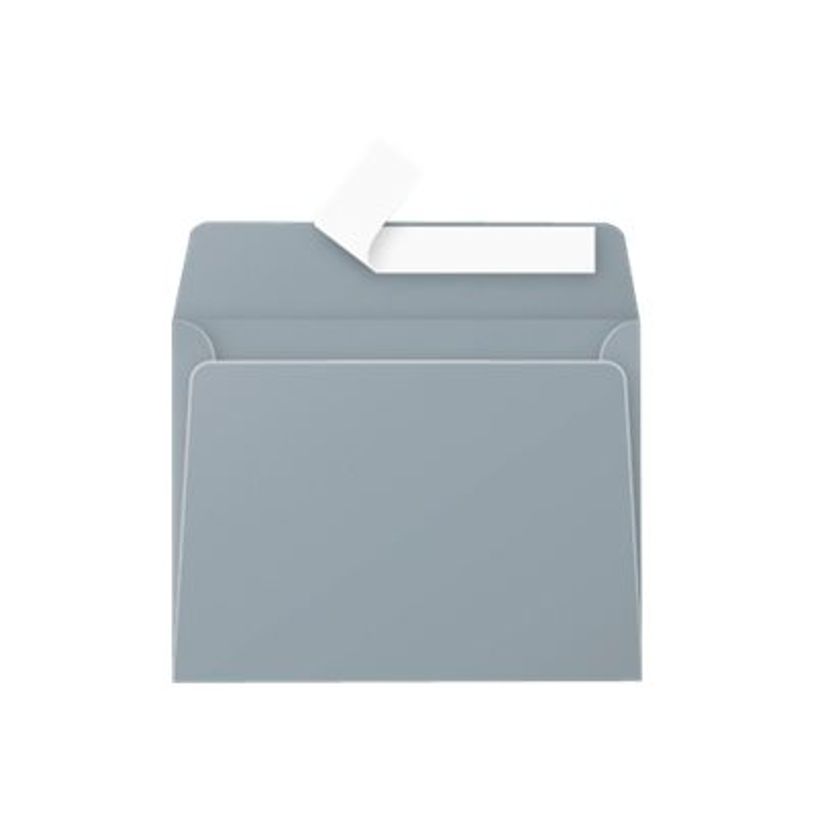 3329680500714-Pollen - 20 Enveloppes - 90 x 140 mm - 120 g/m² - argent-P_79431464_2-1