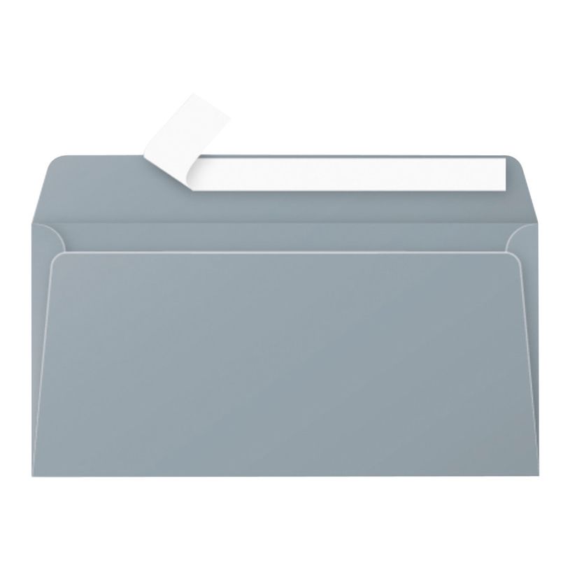3329680500752-Pollen - 20 Enveloppes - 110 x 220 mm - 120 g/m² - argent-P_79431466_1-0