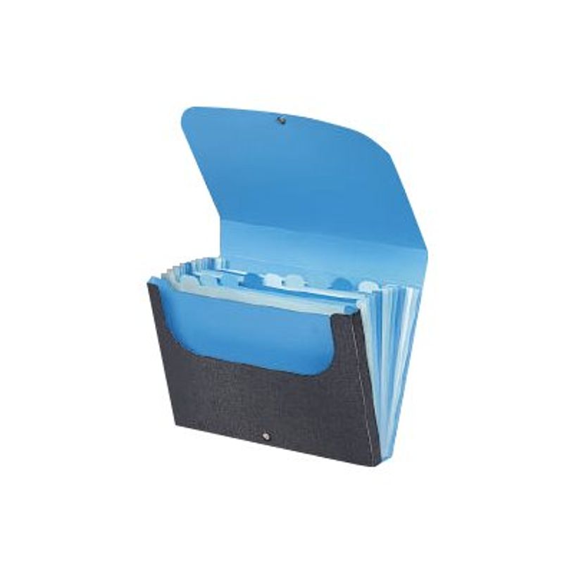 3135251661896-Viquel Office Design - Classeur ménager (valisette trieur) 10 onglets - bleu-P_79435149_1-0