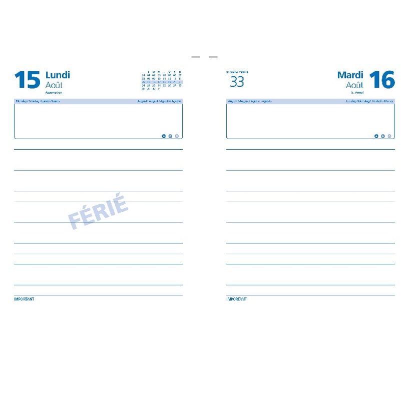 3147280072970-Agenda Lecas University - 1 jour par page - 12 x 18 cm - différents modèles disponibles-P_79435641_6-5