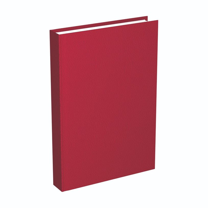 3147280130038-Agenda semi rigide Lecas Classique - 1 jour par page - 12 x 18 cm - différents modèles di-P_79435681_4-2