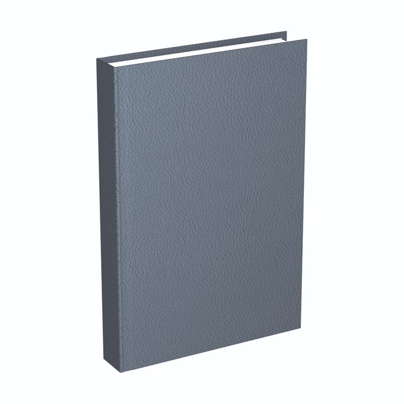 3147280130038-Agenda semi rigide Lecas Classique - 1 jour par page - 12 x 18 cm - différents modèles di-P_79435681_5-3