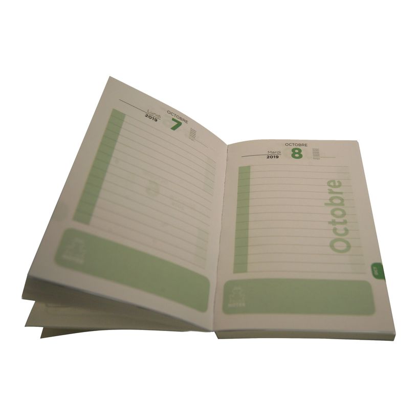 3386177013430-Agenda Lama - 1 jour par page - Clementina Frog-P_79435714_2-2