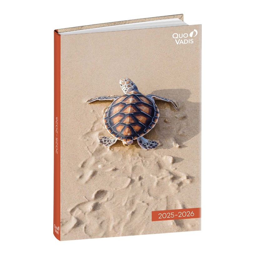 3371010196685-Agenda Mes Potes à pattes - 1 jour par page - 12 x 17 cm - différents modèles disponible-P_79436797_1-0