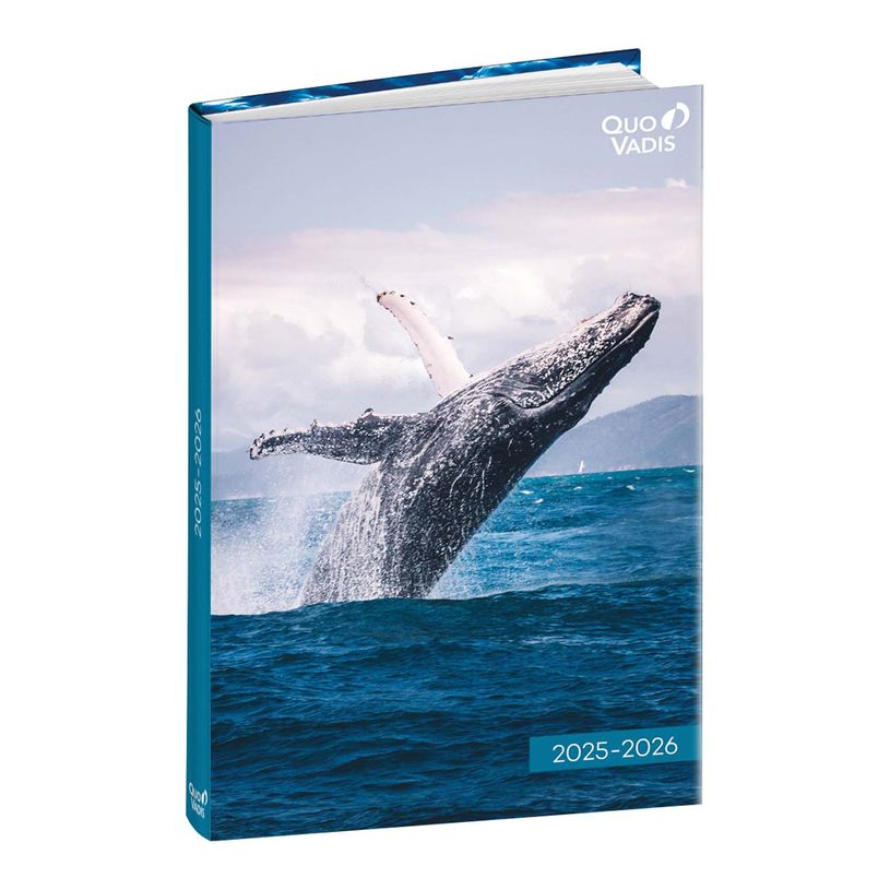3371010196685-Agenda Mes Potes à pattes - 1 jour par page - 12 x 17 cm - différents modèles disponible-P_79436797_4-3