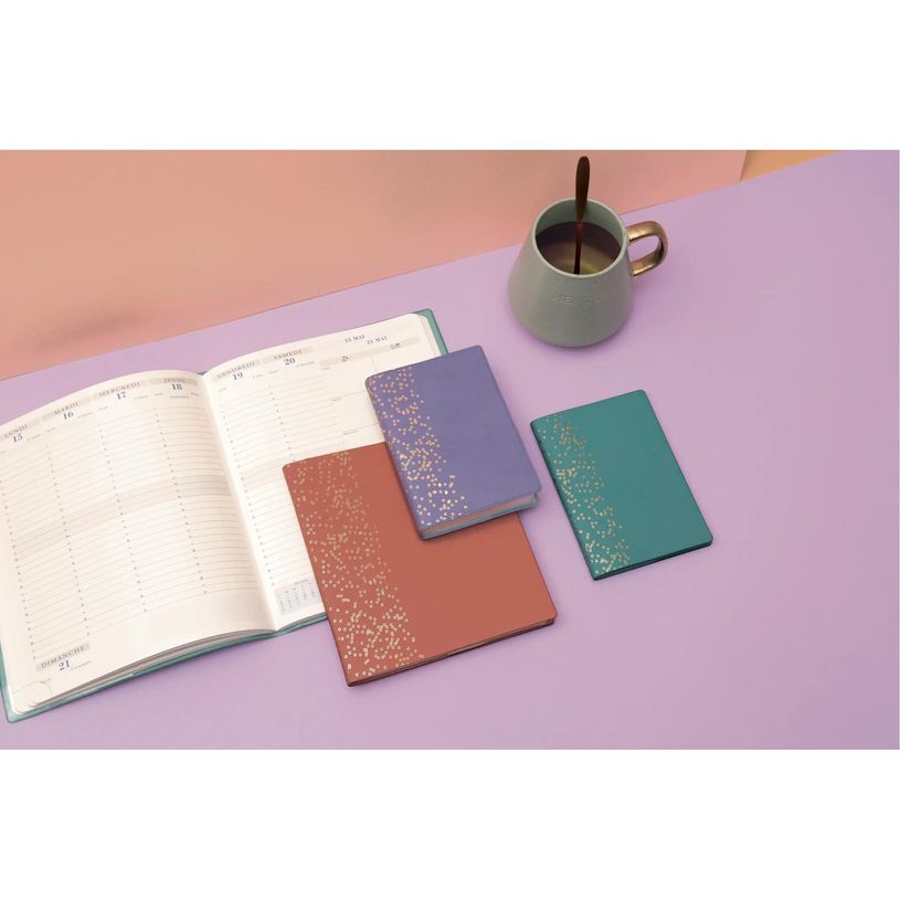 3660942065603-Agenda Amélie Horizons 20 - 1 semaine sur 2 pages - 15 x 21 cm - disponible dans différentes couleurs--4