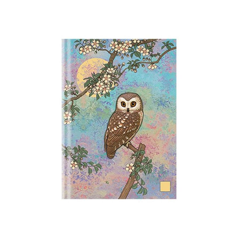3700572700304-Kiub Bug Art - Carnet de notes A5 - ligné - 160 pages - Chouette bleue-P_79442173_1-0