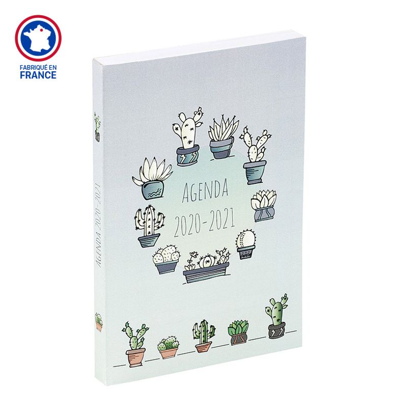 3135257168474-Agenda Cactus - 1 jour par page - 12 x 17 cm - Viquel-P_79442840_2-0
