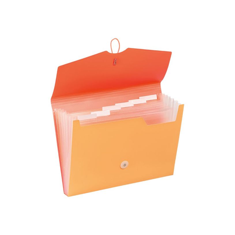 3135251828381-Viquel Tandem - Trieur extensible 6 positions-P_79443390_1-0