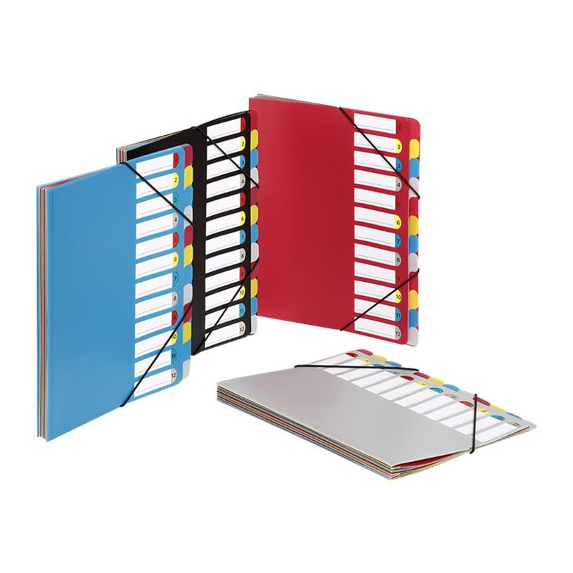 3135251988870-Viquel - Trieur à soufflets 12 positions - disponible dans différentes couleurs opaques-P_79445389_3-2