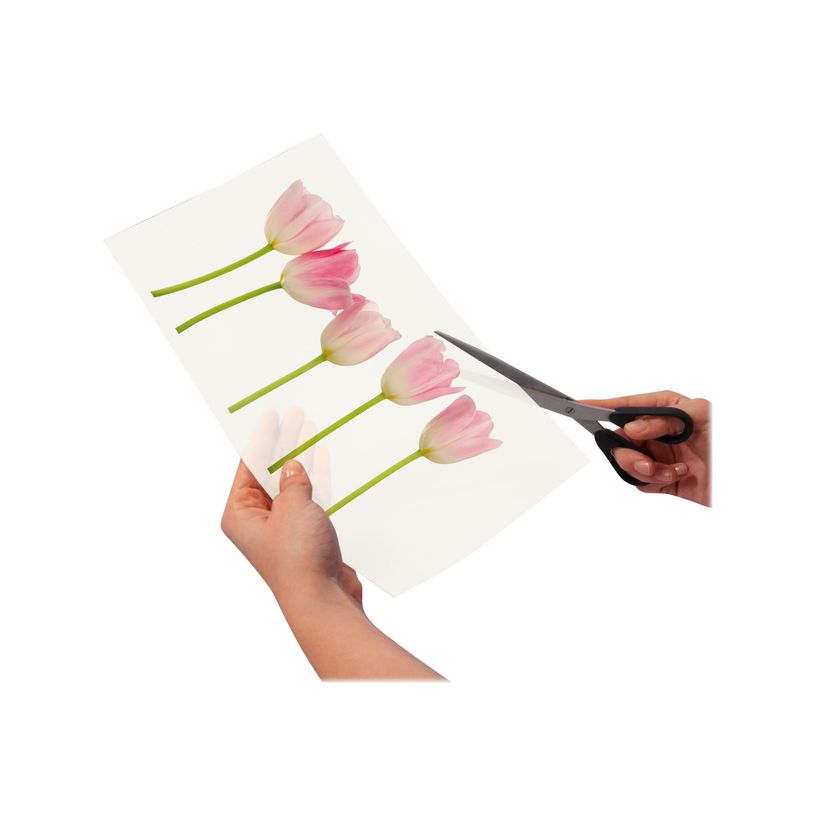 4004360995972-Sigel - Films transparents adhésifs (spécial vitrophanie) A4 - 4 feuilles-P_995972_4-4