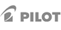 Pilot