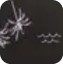 Icons Black