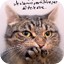 chat oups