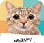 chat urgent
