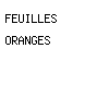 feuilles oranges