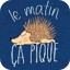 matin pique