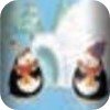 pingouins igloo