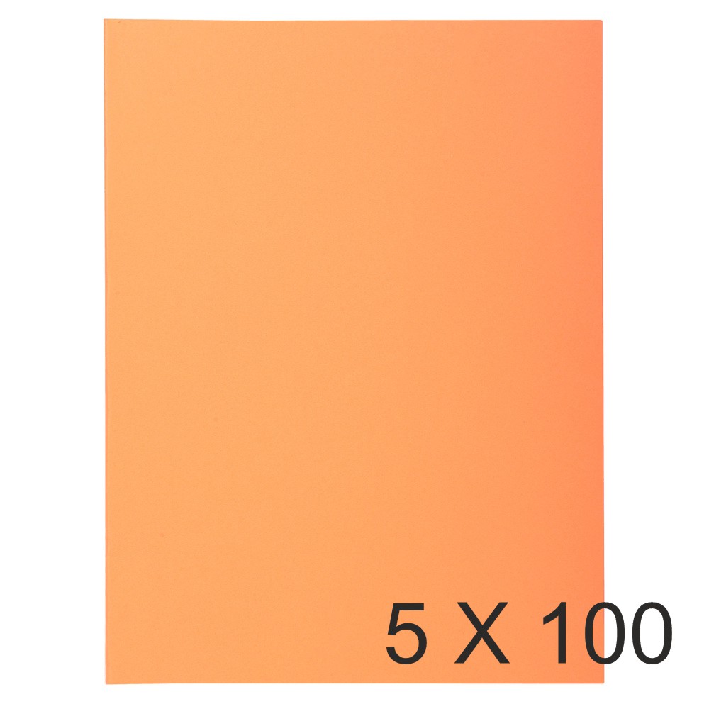 Exacompta Super 210 - 5 Paquets de 100 Chemises - 210 gr - bulle