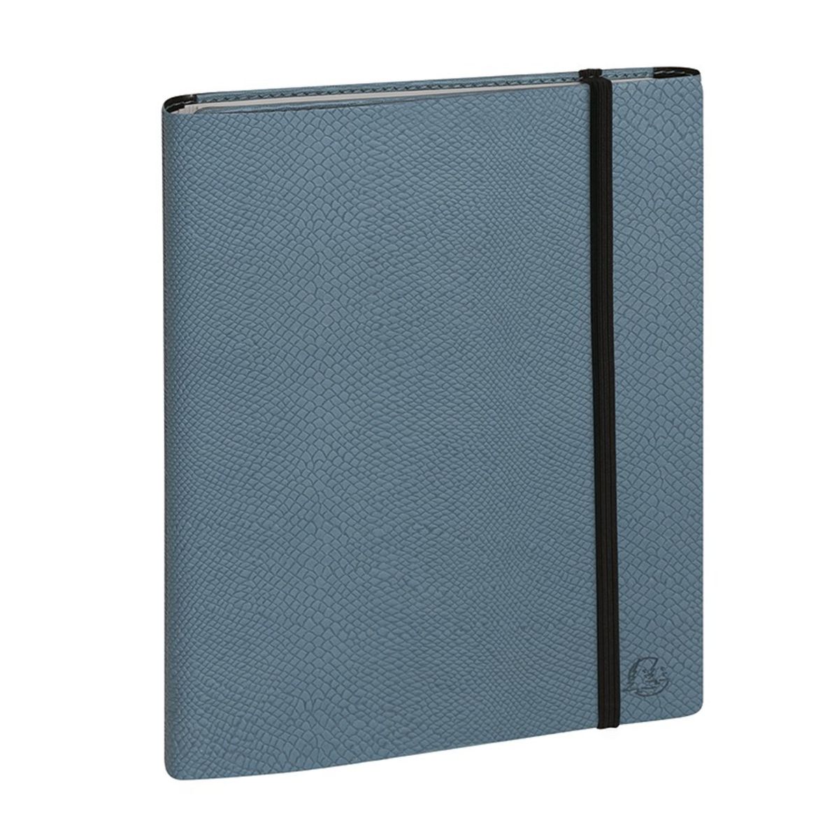 Agenda All in One - 1 semaine sur 2 pages - 16 mois - 15 x 21 cm - bleu paon - Exacompta