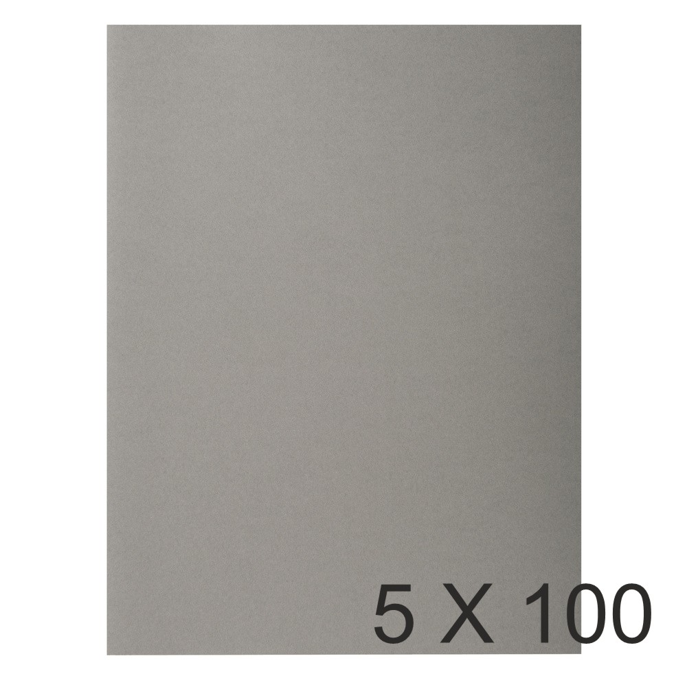 Exacompta Forever - 5 Paquets de 100 Chemises - 220 gr - gris