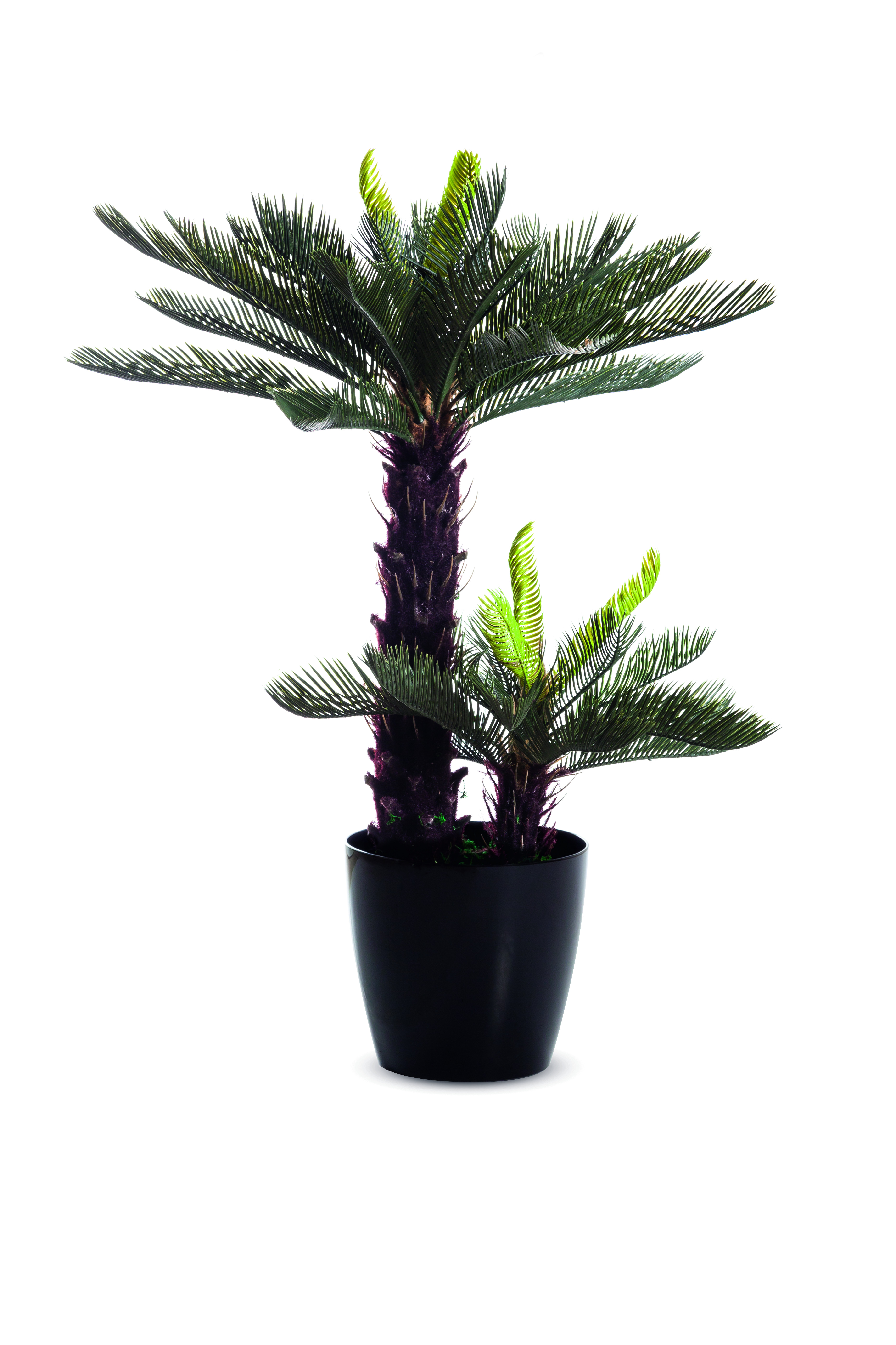 Plante artificielle cycas - hauteur 80 cm