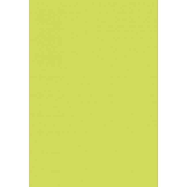 Pollen - 50 Feuilles papier couleur - A4 (21 x 29,7 cm) - 120 g/m² - vert bourgeon