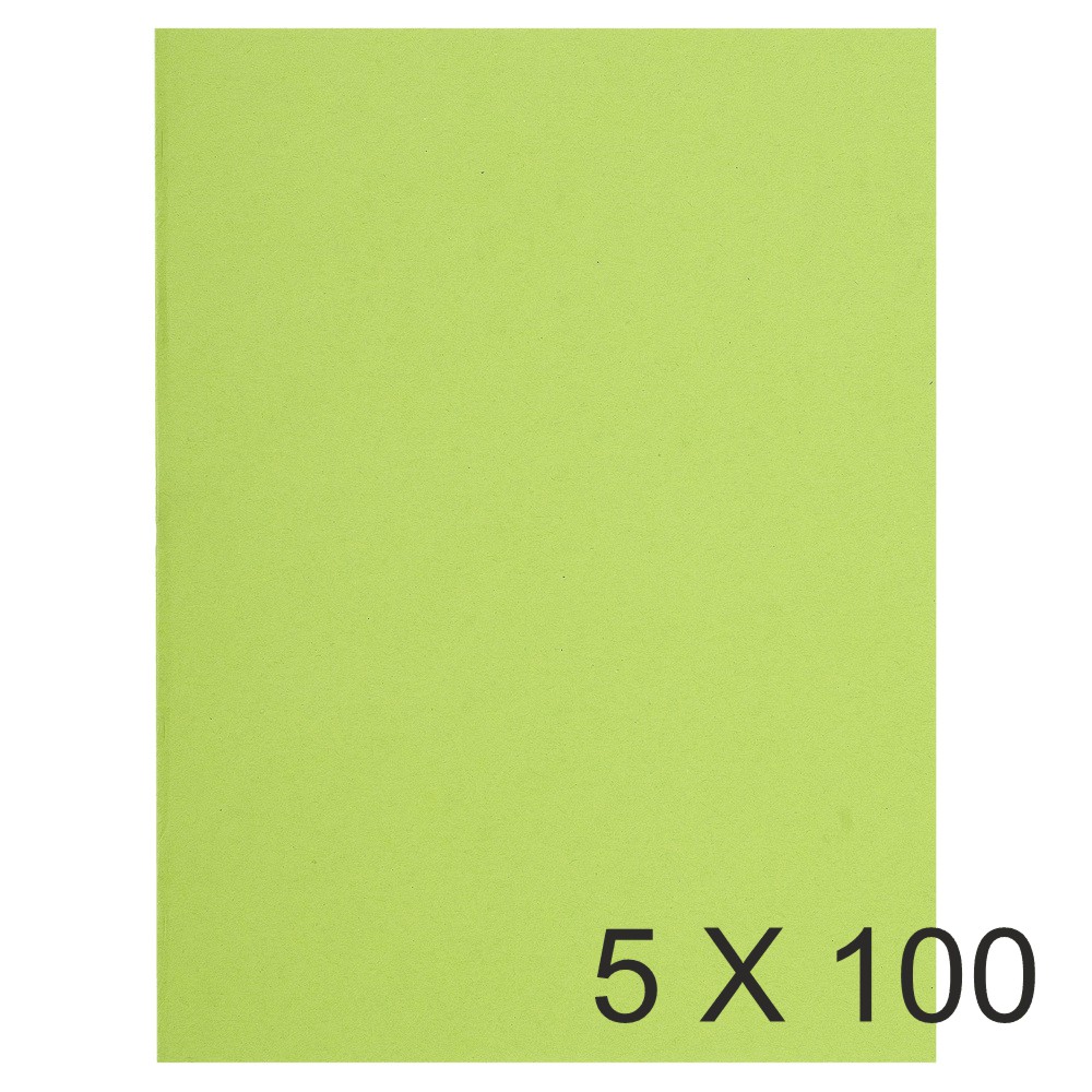Exacompta Flash - 5 Paquets de 100 Chemises - 220 gr - vert tilleul