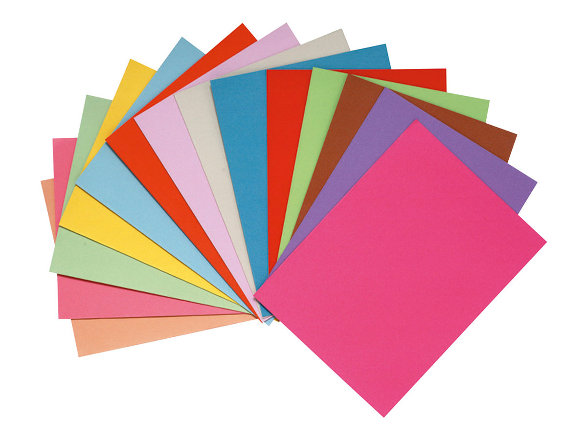 Exacompta Forever Foldyne - 100 Chemises - 220 gr - couleurs assorties