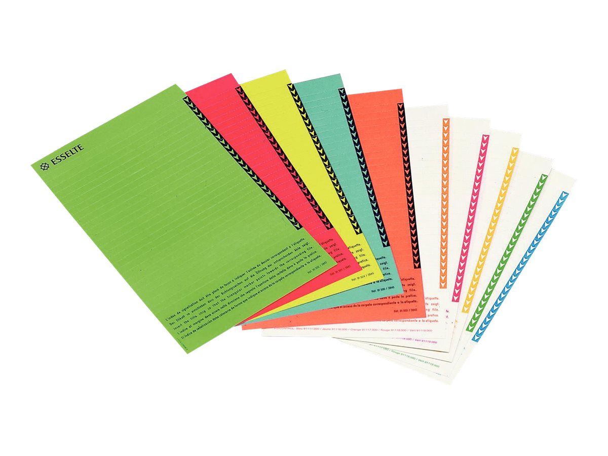 Esselte Orgarex - 10 Étiquettes pour dossiers suspendus armoires - coloris assortis