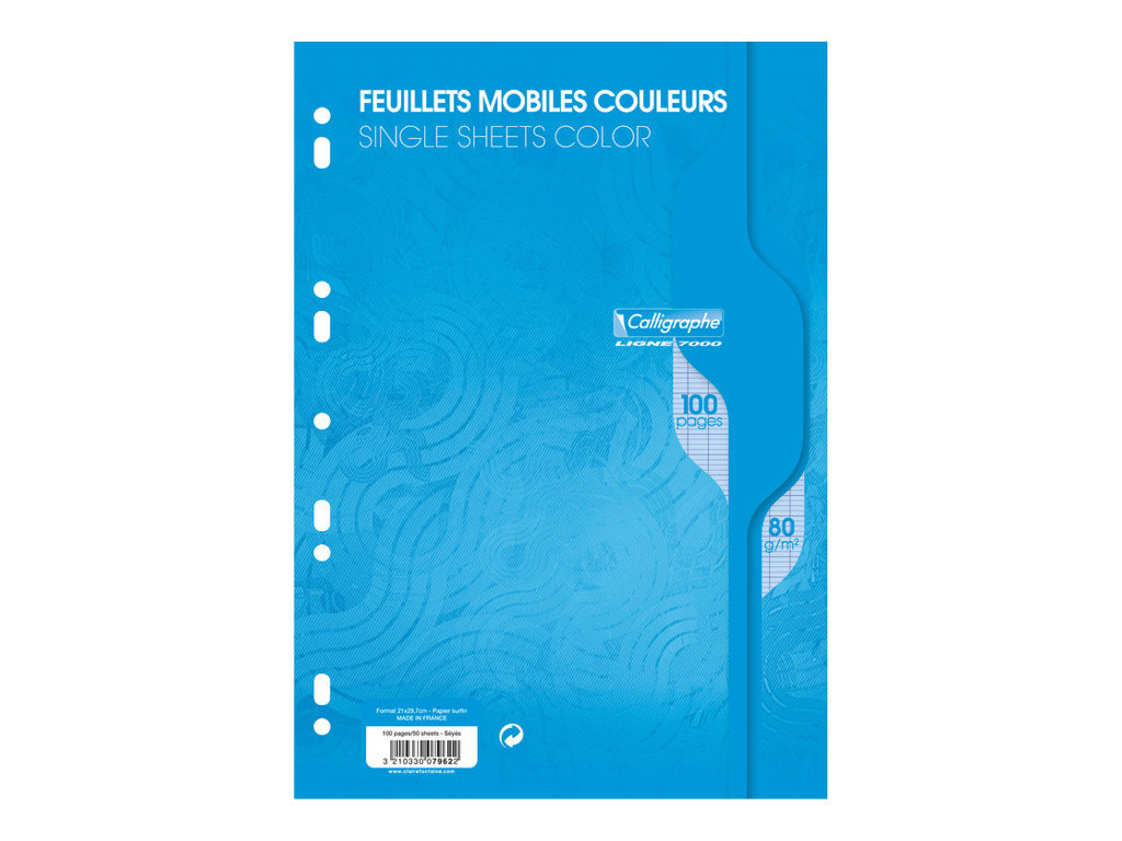 Calligraphe - 100 feuilles simples A4 - grands carreaux (Seyes) - perforées - bleu