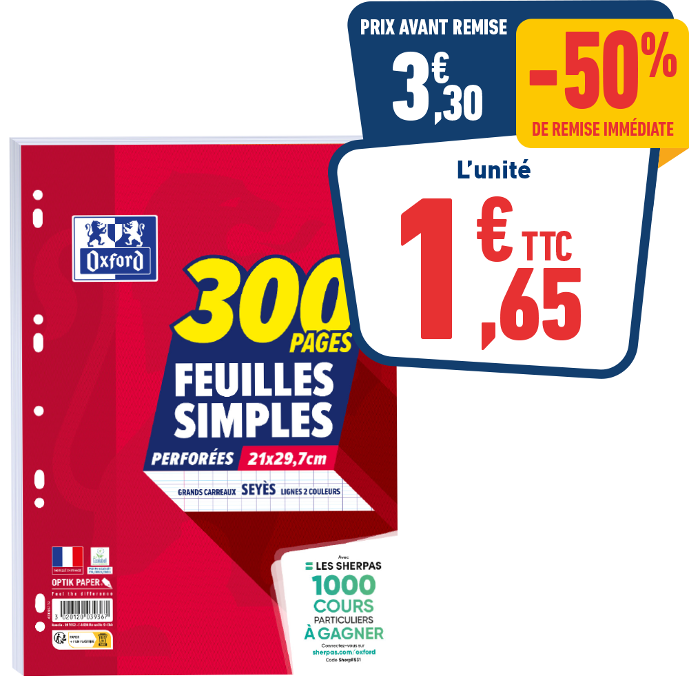 FEUILLETS MOBILES 300 PAGES A4 - GRANDS CARREAUX