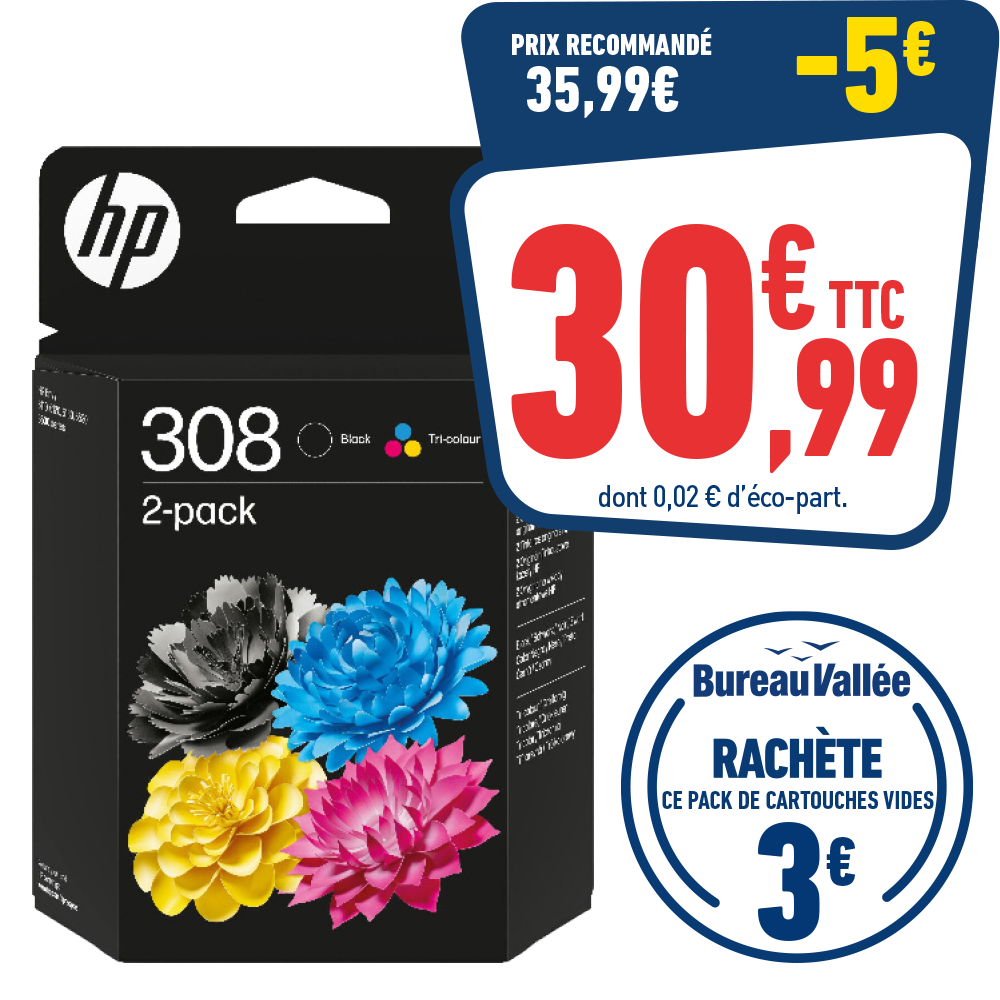 PACK CARTOUCHE HP 308
