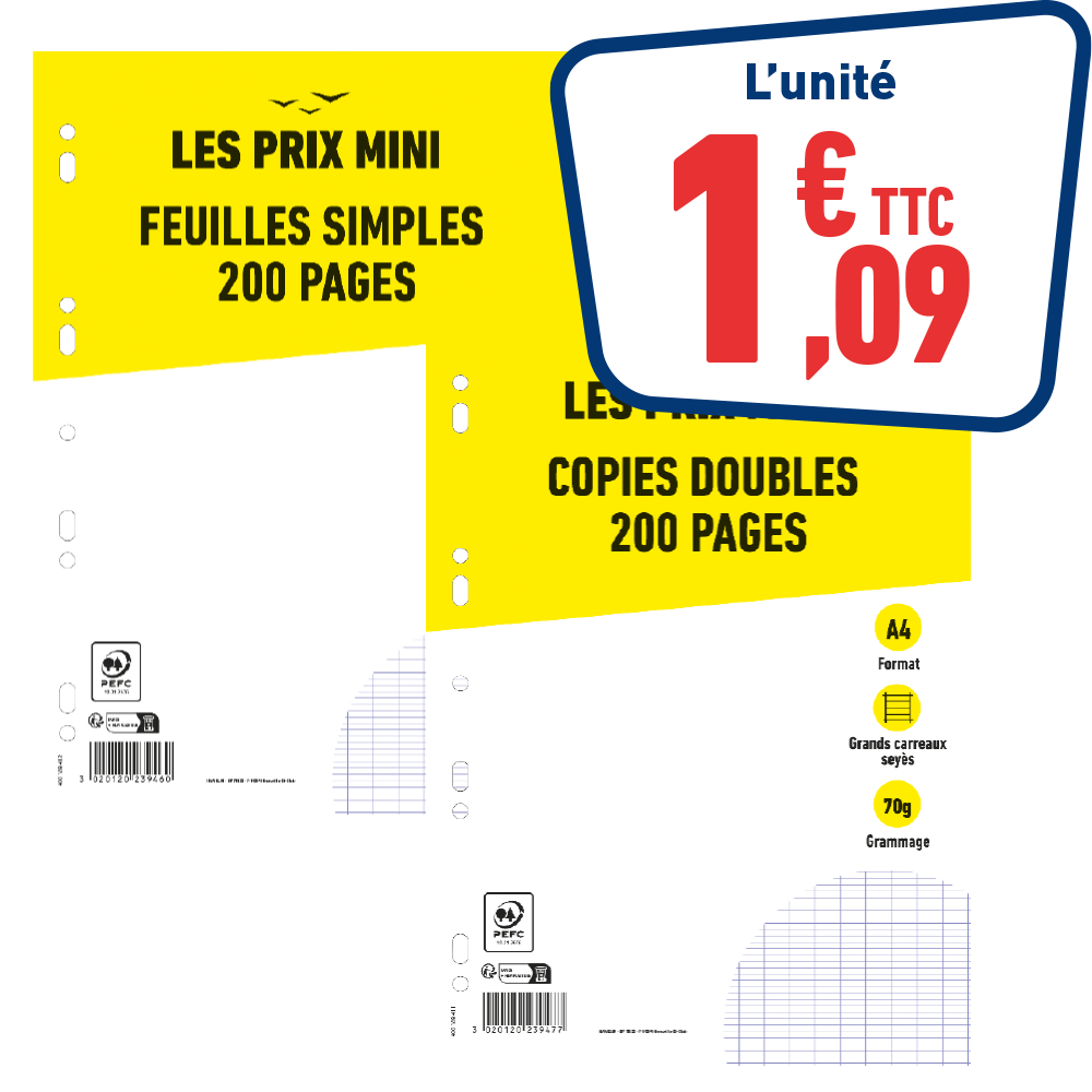 FEUILLETS MOBILES 200 PAGES A4 - GRANDS CARREAUX