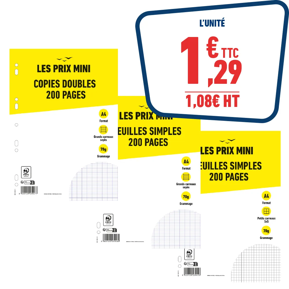 COPIES DOUBLES OU FEUILLES SIMPLES 200 PAGES
