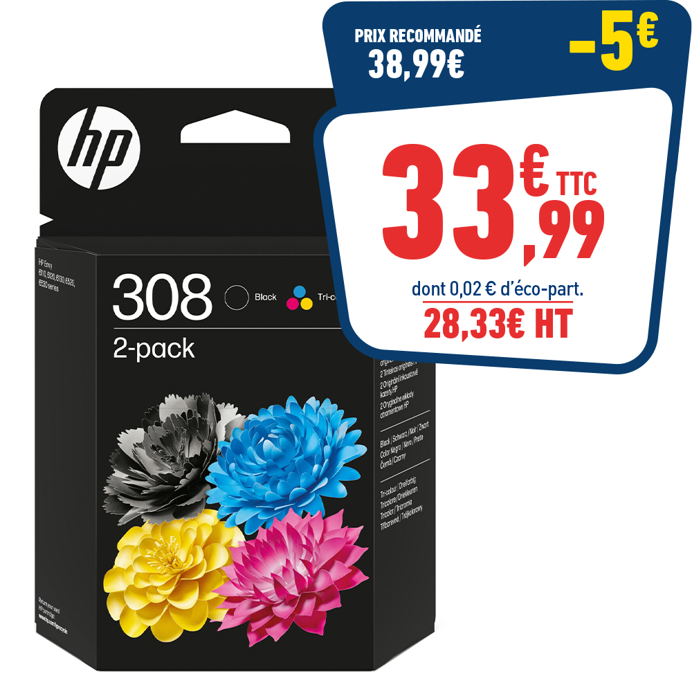 PACK CARTOUCHE HP 308